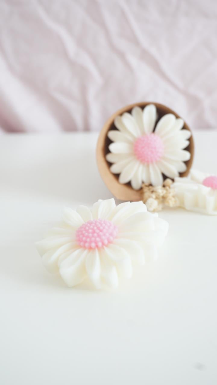 Wax melts ~ Petit Souhait Rose