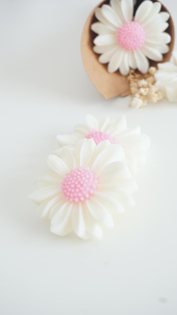 Wax melts ~ Petit Souhait Rose