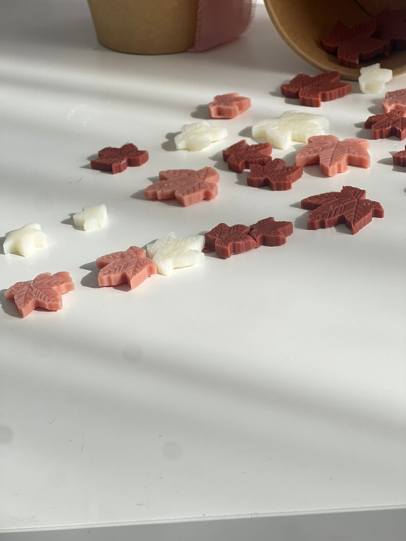 Wax melts ~ Forêt Enchantée