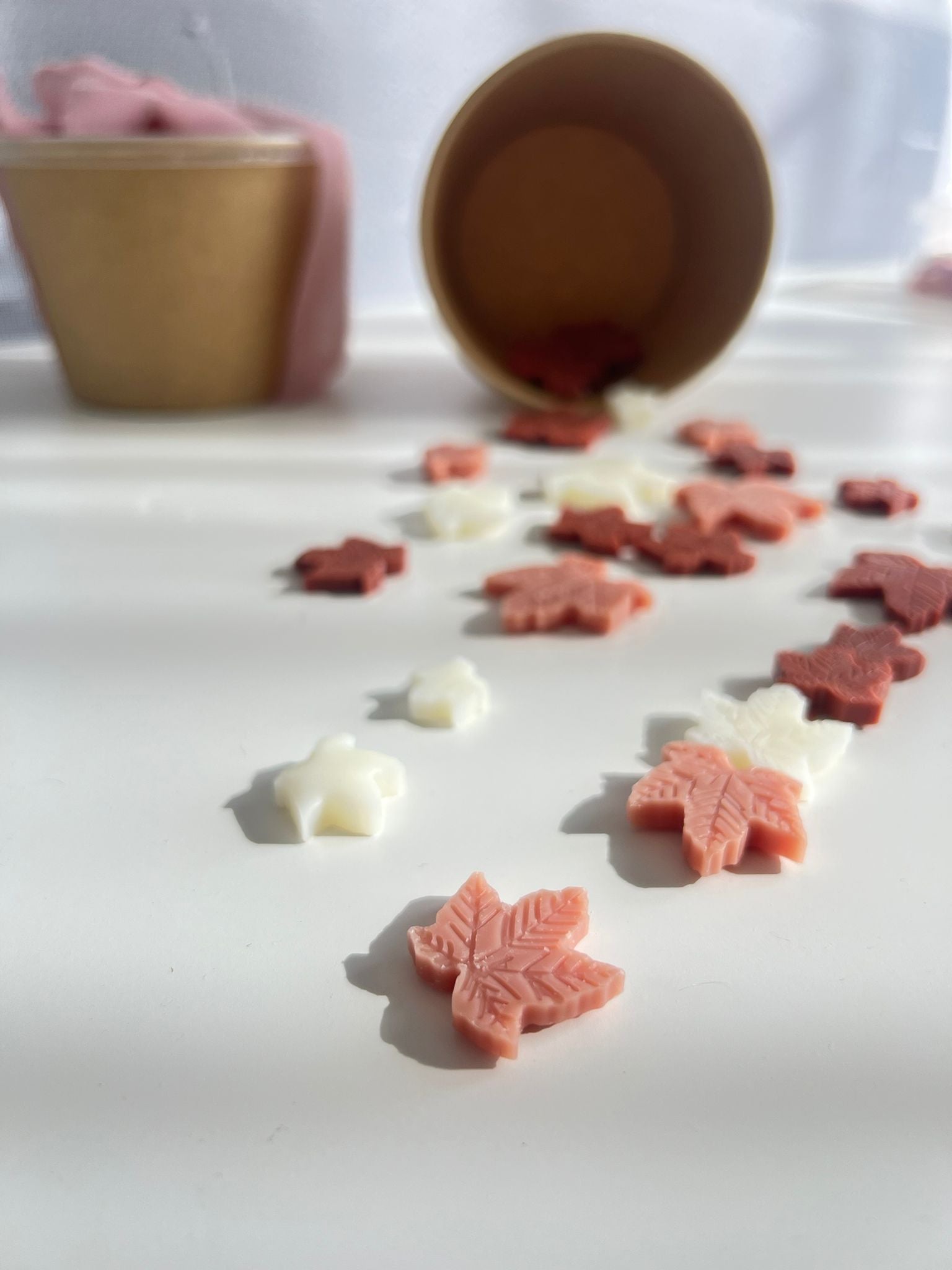 Wax melts ~ Forêt Enchantée