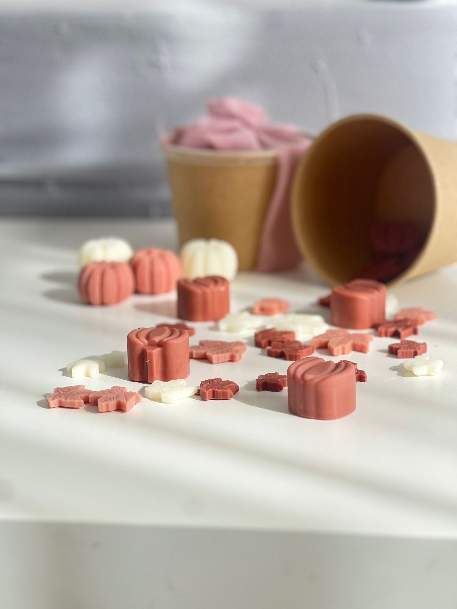 Wax melts ~ Forêt Enchantée