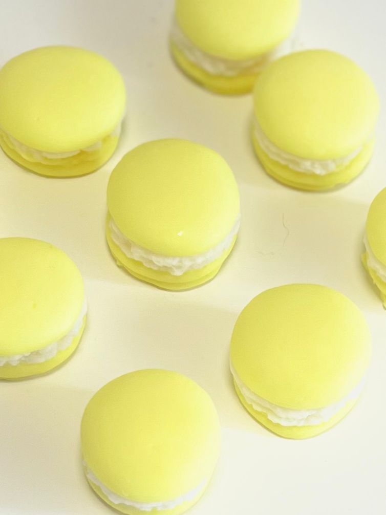 Macarons Wax melts ~ Éclat d’été
