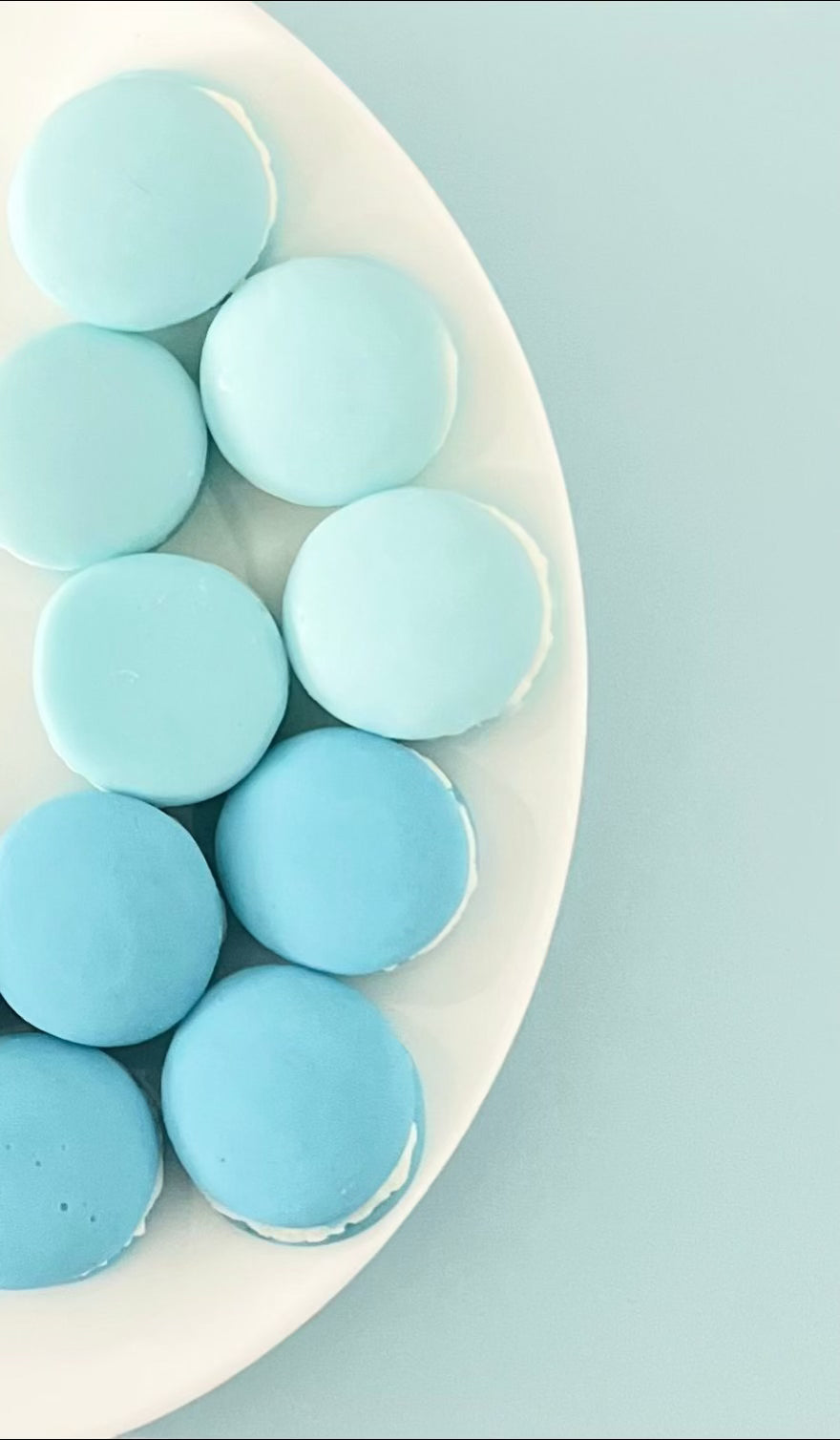 Macarons Wax melts ~ Nuit de Coton