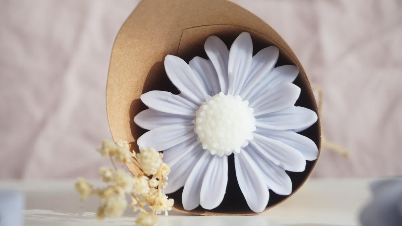 Wax melts ~ Petit Souhait Violet