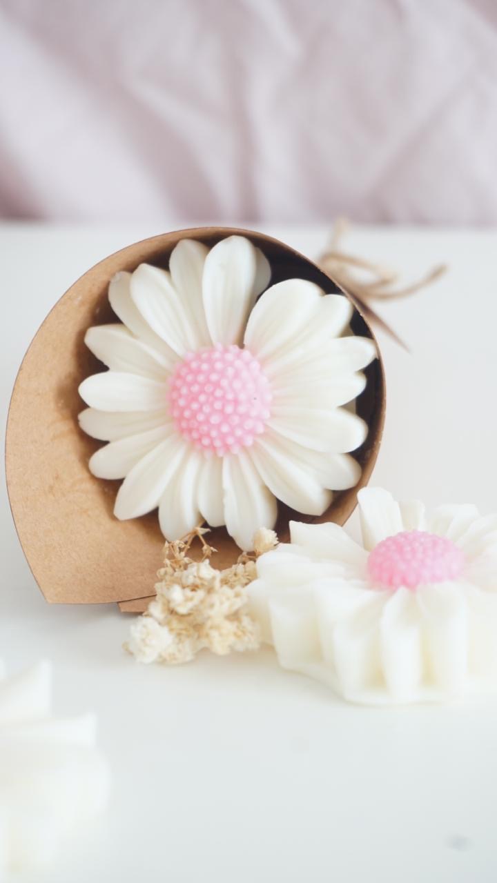 Wax melts ~ Petit Souhait Rose