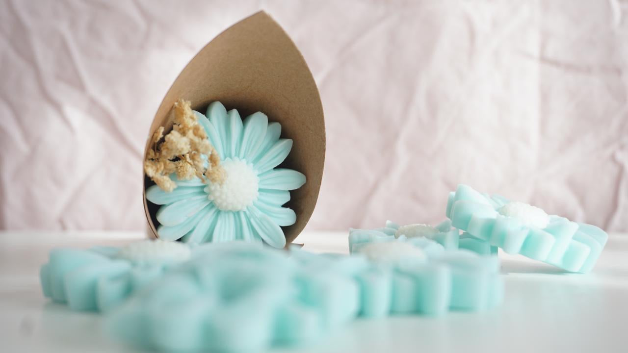 Wax melts ~ Petit Souhait Bleu